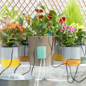 Sistema de riego automático por goteo para macetas Regott InnovaGoods
